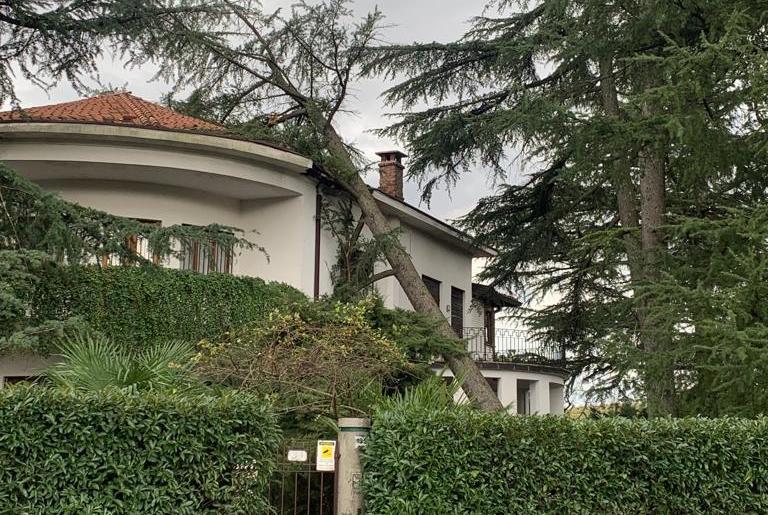 Forti raffiche di vento, albero cade su una casa a Cormons: chiusa Sr56